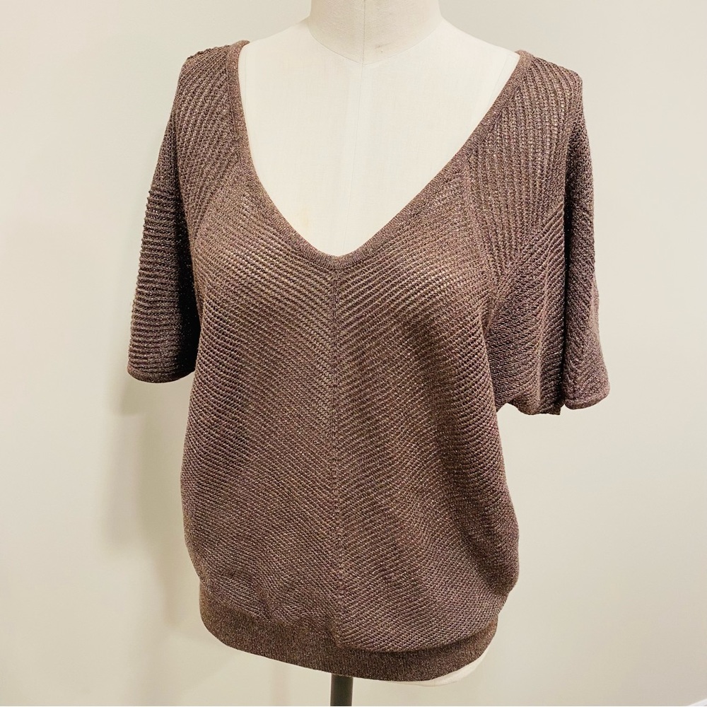 EXPRESS Dolman Sleeve V Neck Metallic Sparkle Top Size Medium